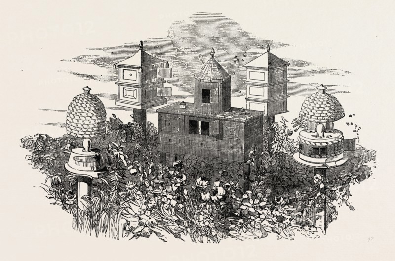 BEEHIVES, BY NEIGHBOUR AND SON