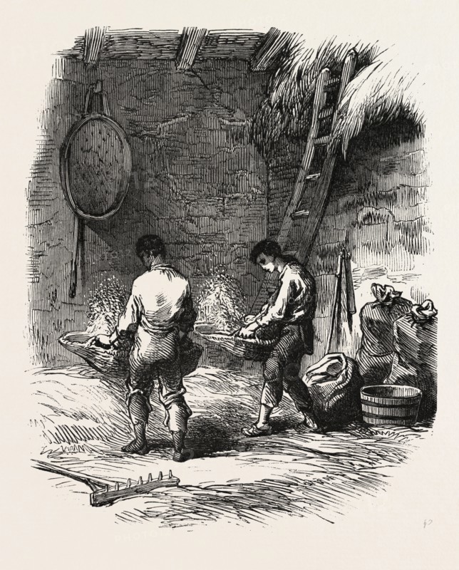 FRENCH AGRICULTURE: WINNOWING