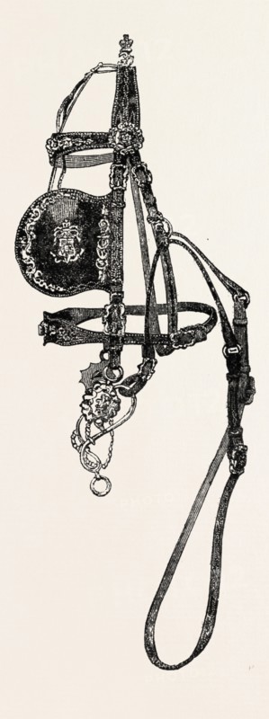 SILVER MOUNTED CARRIAGE HARNESS, BY J.C. WHITE