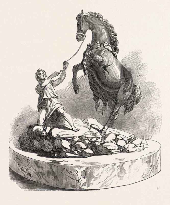 THE GREAT EXHIBITION, HORSE GROUPS IN THE RUSSIAN DEPARTMENT