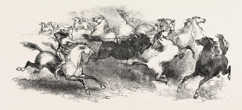 MR. EATON STONE'S CAPTURE OF THE WILD HORSE OF THE PRAIRIE