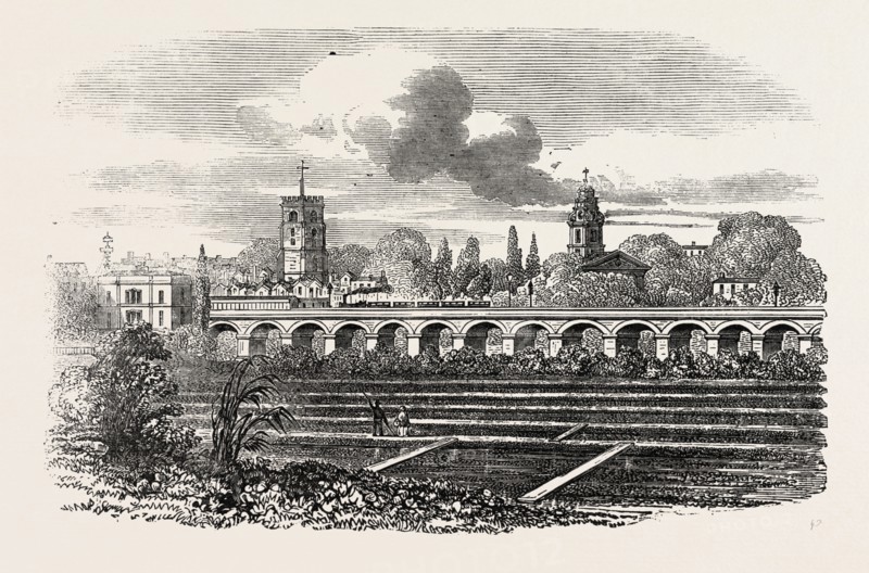 HACKNEY STATION, AND WATERCRESS PLANTATION, LONDON, UK