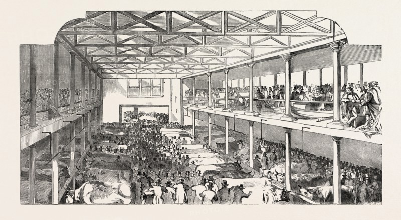 THE SMITHFIELD CLUB CAITLE SHOW, THE NEW DEPARTMENT FOR EXTRA STOCK, ETC., UK