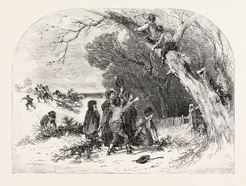 GATHERING MISTLETOE, DRAWN BY FOSTER