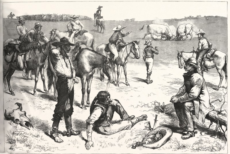 AMONG THE COW BOYS, COWBOY, COWBOYS, WESTERN, MALE, US, USA, AMERICA, UNITED STATES, AMERICAN, ENGRAVING 1880