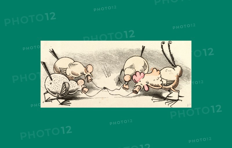 Schnaken and schnurren, 1866, Mosquitoes and purring, Wilhelm Busch, 1832 - 1908, German artist, humorist, poet, illustrator and painter. A humorous story in pictures from the writer and illustrator ofMax und Moritz, Munchener Bilderbogen and Fliegende Blatter. Children's literature from the 19th century, comic illustrated cautionary tales