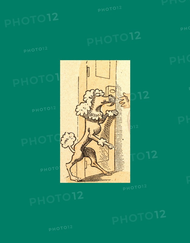 Schnaken and schnurren, 1866, Mosquitoes and purring, Wilhelm Busch, 1832 - 1908, German artist, humorist, poet, illustrator and painter. A humorous story in pictures from the writer and illustrator ofMax und Moritz, Munchener Bilderbogen and Fliegende Blatter. Children's literature from the 19th century, comic illustrated cautionary tales