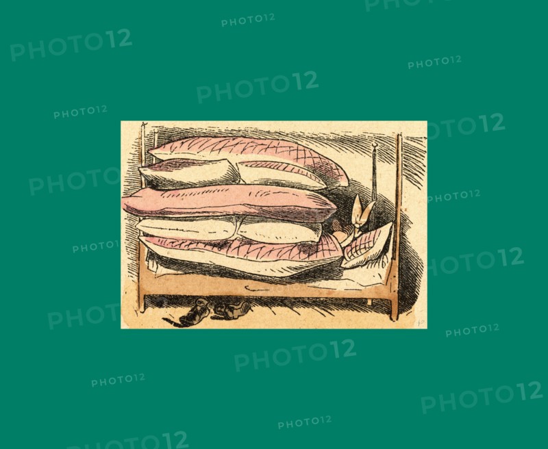 Schnaken and schnurren, 1866, Mosquitoes and purring, Wilhelm Busch, 1832 - 1908, German artist, humorist, poet, illustrator and painter. A humorous story in pictures from the writer and illustrator ofMax und Moritz, Munchener Bilderbogen and Fliegende Blatter. Children's literature from the 19th century, comic illustrated cautionary tales