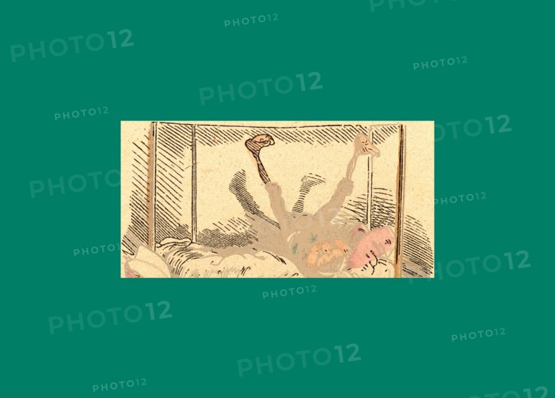 Schnaken and schnurren, 1866, Mosquitoes and purring, Wilhelm Busch, 1832 - 1908, German artist, humorist, poet, illustrator and painter. A humorous story in pictures from the writer and illustrator ofMax und Moritz, Munchener Bilderbogen and Fliegende Blatter. Children's literature from the 19th century, comic illustrated cautionary tales