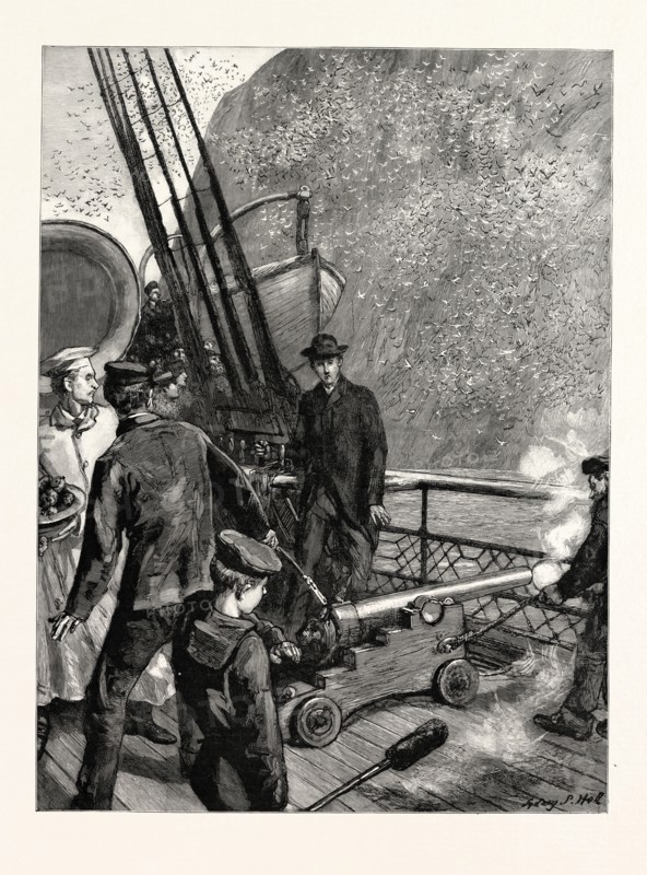 A TRIP TO NORWAY ON BOARD THE ORIENT LINE STEAMSHIP GARONNE: STARTLING THE NATIVES ON BASS ROCK, MARITIME, 1890 engraving