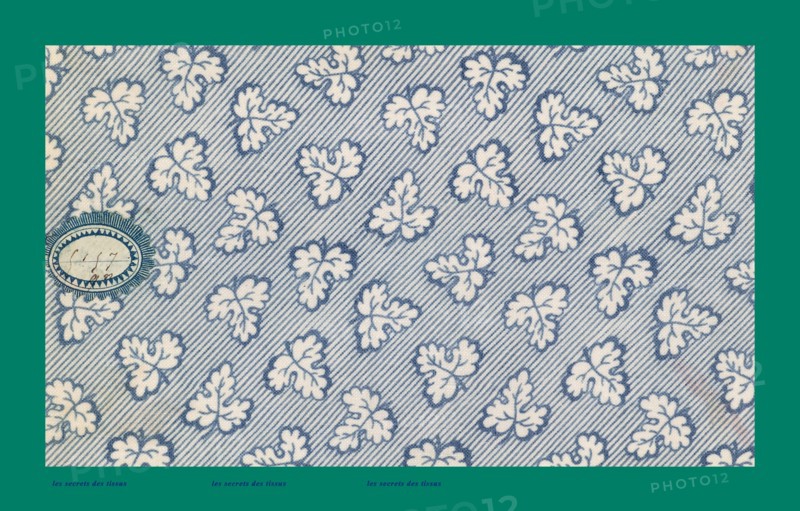 French fabrics; first half of the nineteenth century; 1800; 1810; 1820; 1830; 1840; 1850