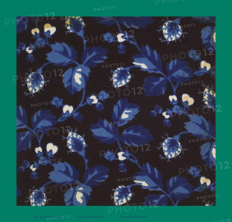 French fabrics; first half of the nineteenth century; 1800; 1810; 1820; 1830; 1840; 1850
