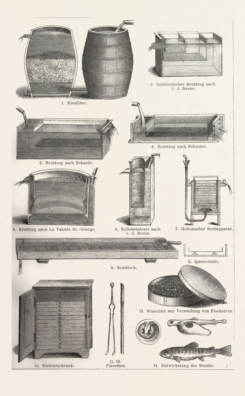Fish production, fish farming, aquaculture, aquafarming, around 1890, 19th century, liszt gourmet archive