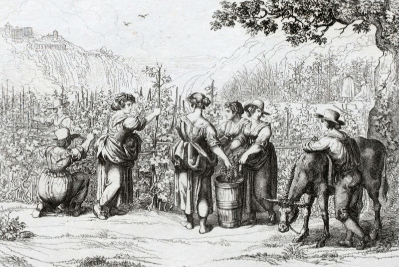The harvest in Tivoli, La vendemmia in Tivoli, 1840 by B. Pinelli, Italy, harvest of the grapes. wine, winemaking, winery, grape, viticulture, ripe, rural, 19th century, food and drink, liszt gourmet archive