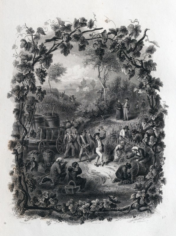 The grapes harvest in france by Daubigny. food and drink,  wine, winemaking, winery, grape, viticulture, ripe, rural, 19th century, liszt gourmet archive
