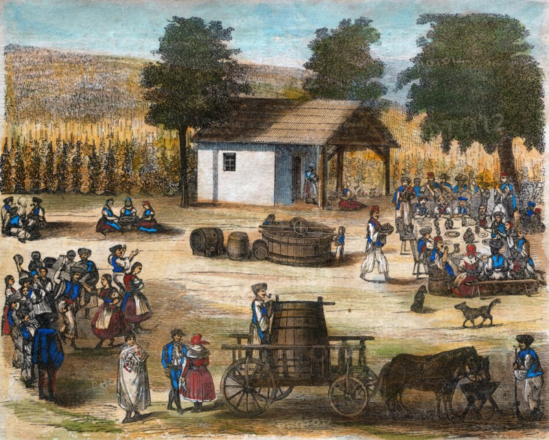 Party of the harvest of the grapes. wine, winemaking, winery, grape, viticulture, ripe, rural, 19th century, liszt gourmet archive