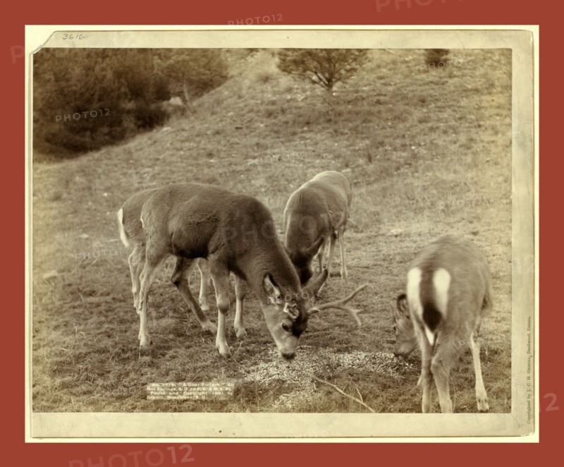 A Dear Picture. At Hot Springs, S.D., on F.E. & M.V. Ry., John C. H. Grabill was an american photographer. In 1886 he opened his first photographic studio