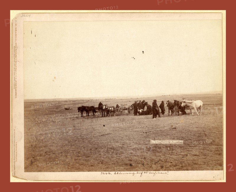 The shepherd and flock. On F.E. & M.V. R'y. in Dakota, John C. H. Grabill was an american photographer. In 1886 he opened his first photographic studio