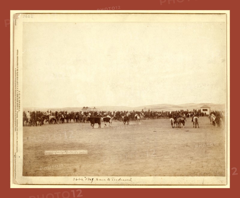 Beef issue to Indians. Taken at Pine Ridge, Jan. 1891, John C. H. Grabill was an american photographer. In 1886 he opened his first photographic studio
