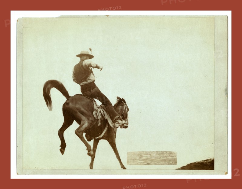 Bucking Bronco. Ned Coy, a famous Dakota cowboy, starts out for the cattle round-up with his pet Boy Dick., John C. H. Grabill was an american photographer. In 1886 he opened his first photographic studio