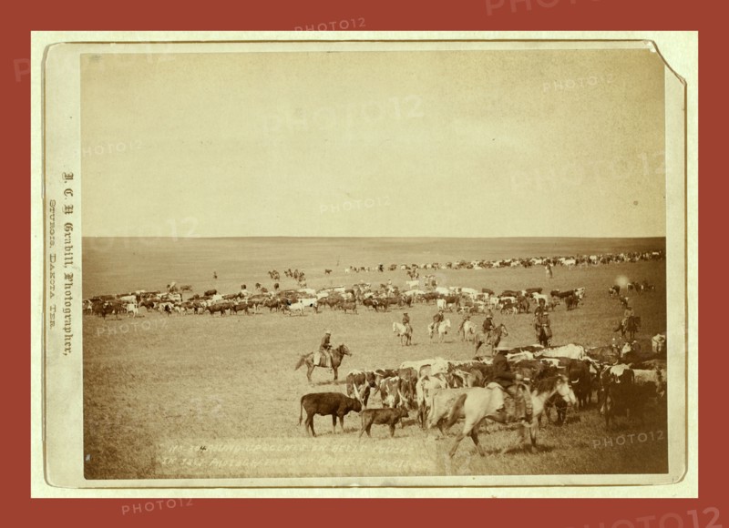 Round-up scenes on Belle Fouche [sic] in 1887, John C. H. Grabill was an american photographer. In 1886 he opened his first photographic studio