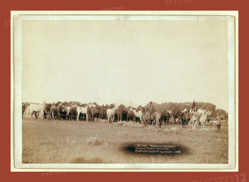 Roping and changing. Changing horses on round up, John C. H. Grabill was an american photographer. In 1886 he opened his first photographic studio