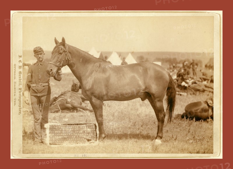 Comanche, the only survivor of the Custer Massacre, 1 History of the horse and regimental orders of the [7]th Cavalry as to the care of Comanche as long as he shall live, John C. H. Grabill was an american photographer. In 1886 he opened his first photographic studio