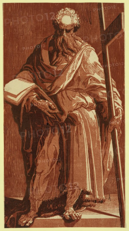 St. Philip (or Andrew?), between 1500 and 1552, Beccafumi, Domenico, 1486-1551
