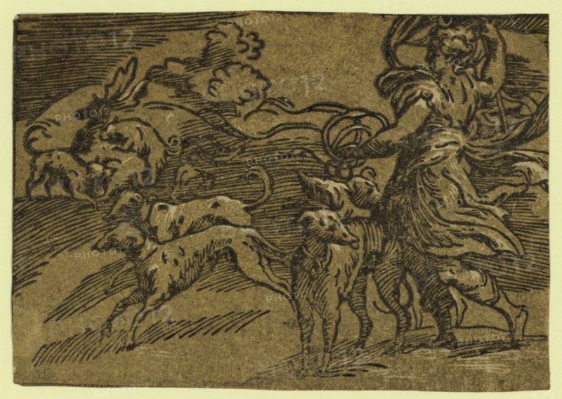 Diana hunting the stag, between 1530 and 1550. Trento, Antonio da, approximately 1508-approximately 1550, artist, Parmigianino, 1503-1540. chiaroscuro woodcut, Allegorical print showing the Roman goddess Diana with hunting dogs; on the left, two dogs have caught the stag.