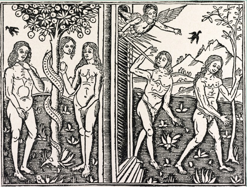 Bergomas,  Suppl. chronicarum, 1503