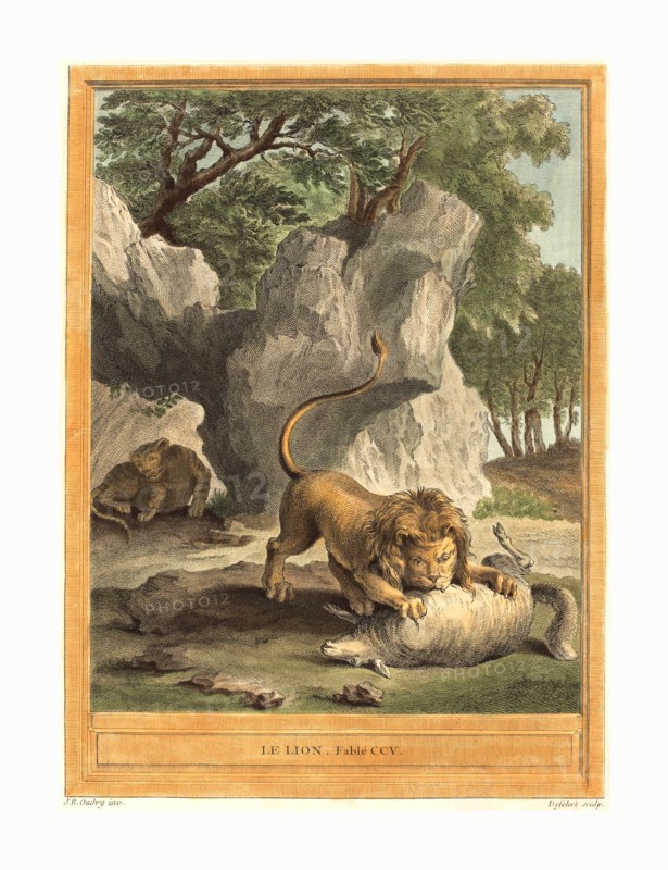 A.J. de Fehrt after Jean Baptiste Oudry (French, born 1723 ), Le lion (The Lion), published 1759, hand colored etching