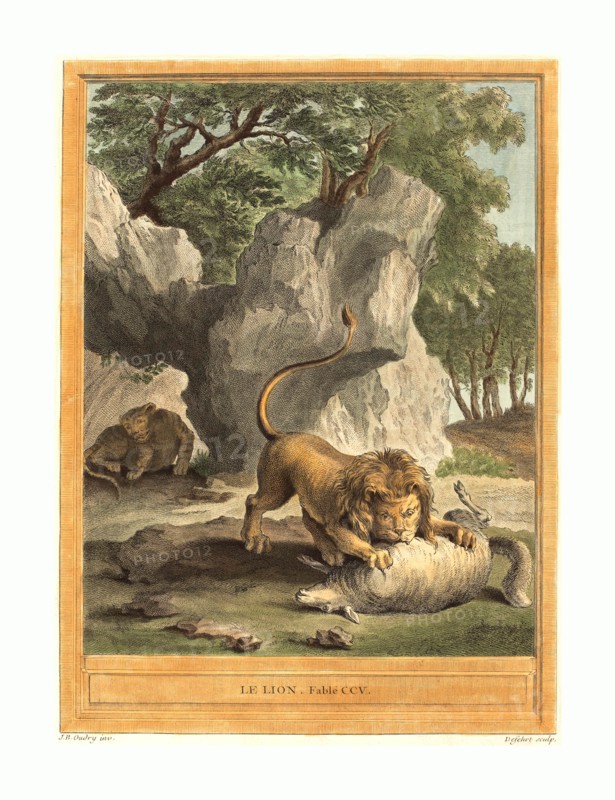 A.-J. de Fehrt after Jean-Baptiste Oudry (French, born 1723 ), Le lion (The Lion), published 1759, hand-colored etching, Gift of Mr. and Mrs. George W. Ware