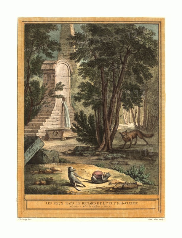 Laurent Cars after Jean-Baptiste Oudry (French, 1699 - 1771 ), Les deux rats, le renard et l'oeuf (Two Rats,the Fox, and the Egg), published 1759, hand-colored etching, Gift of Mr. and Mrs. George W. Ware