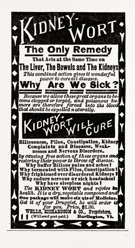 Kidney Wort, 1880, USA, America, 19th century engraving