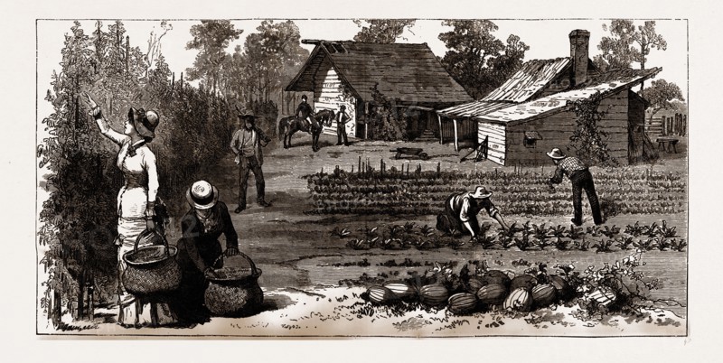 THE ENGLISH GARDEN, Scenes in Rugby, the English Colony in Tennesse, 1880, USA, America, 19th century engraving
