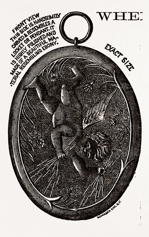 THE PALL MALL ELECTRIC ASSOCIATION OF LONDON, 1880, 19th century engraving, USA, America