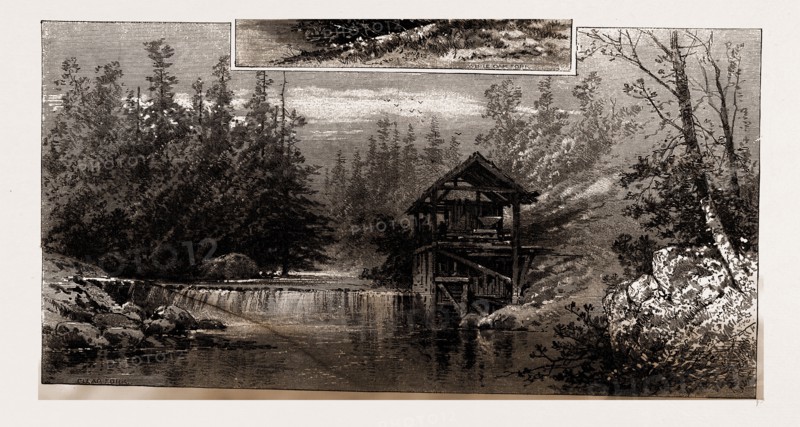 IN AND ABOUT RUGBYâ€îTHE ENGLISH COLONY IN TENNESSEE.â€îFROM SKETCHES BY FRANK H. TAYLOR, 1880, 19th century engraving, USA, America