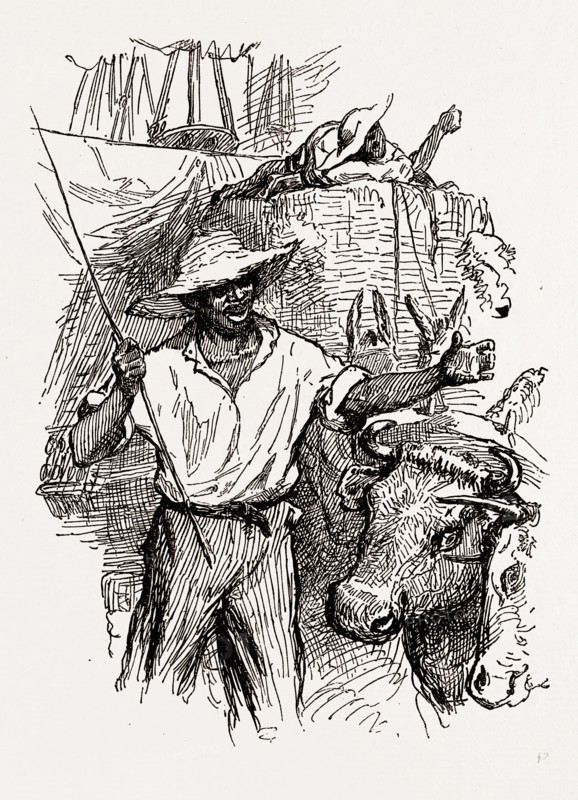 Georgia, African-American drivers, 1880, 19th century engraving, USA, America