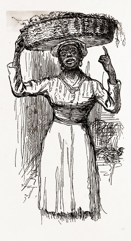 Charleston, South Carolina, BEANS AND POTATOES", 1880, 19th century engraving, USA, America