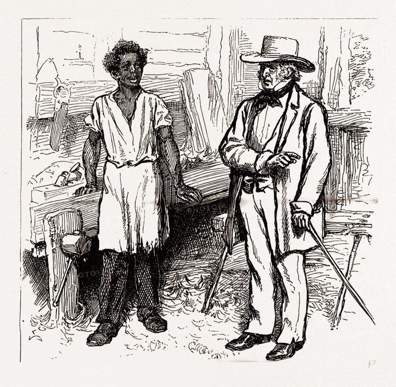 Alabama, agricultural workers, "YOU ARE WADING THROUGH DEEP WATERS, BOY, AIN'T YOU 2", 1880, 19th century engraving, USA, America