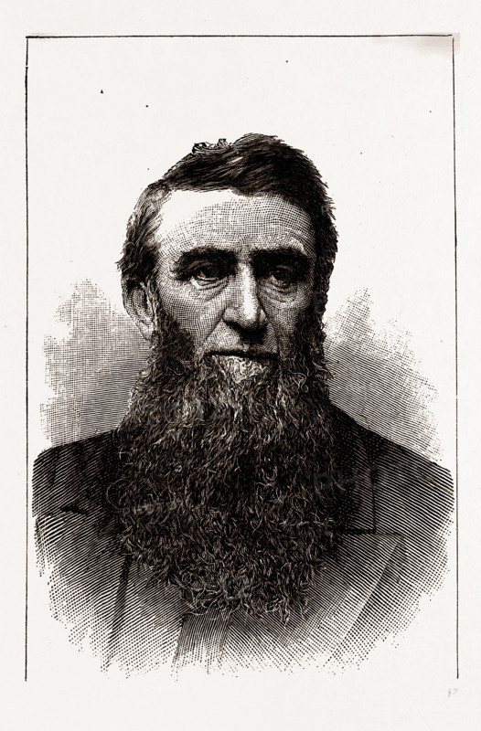 THE HON. D. H. JEROME, GOVERNOR-ELECT OF MICHIGAN, 19th century engraving, USA, America
