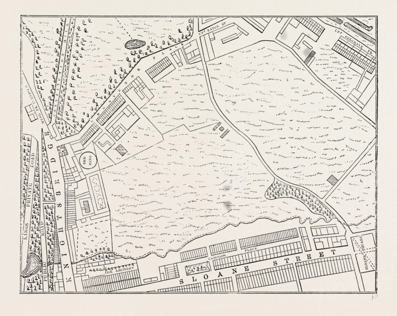 MAP OF BELGRAVIA, 1814. London, UK, 19th century engraving
