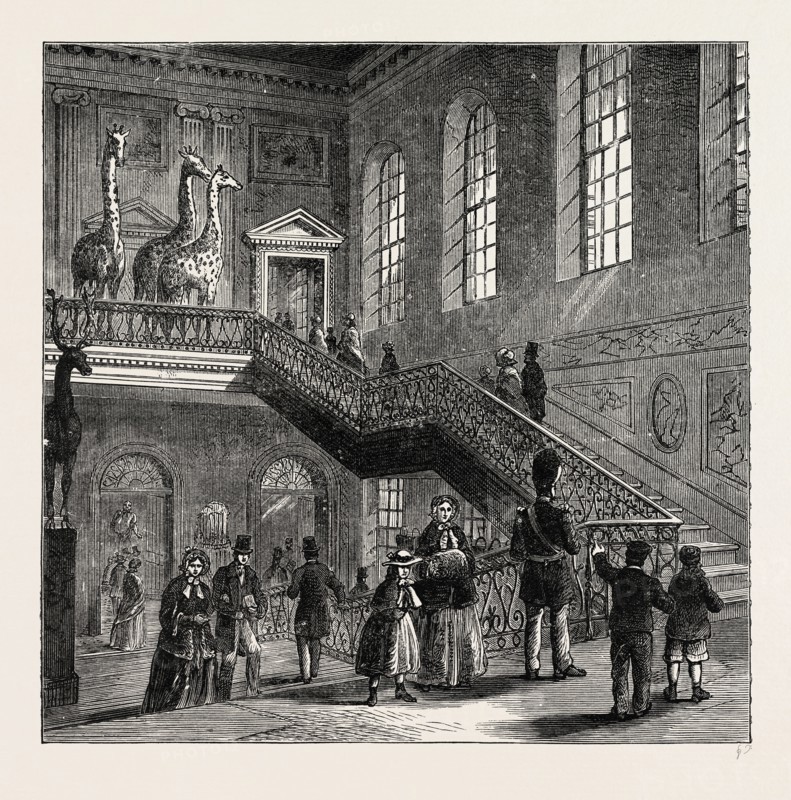 MONTAGU HOUSE, GRAND STAIRCASE, 1830. London, UK, 19th century engraving