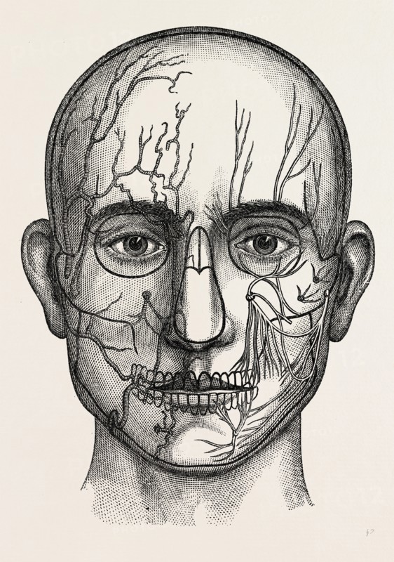 the nerves of the face, medical equipment, surgical instrument, history of medicine
