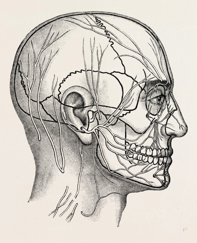 the nerves of the face and of the side of the head, medical equipment, surgical instrument, history of medicine