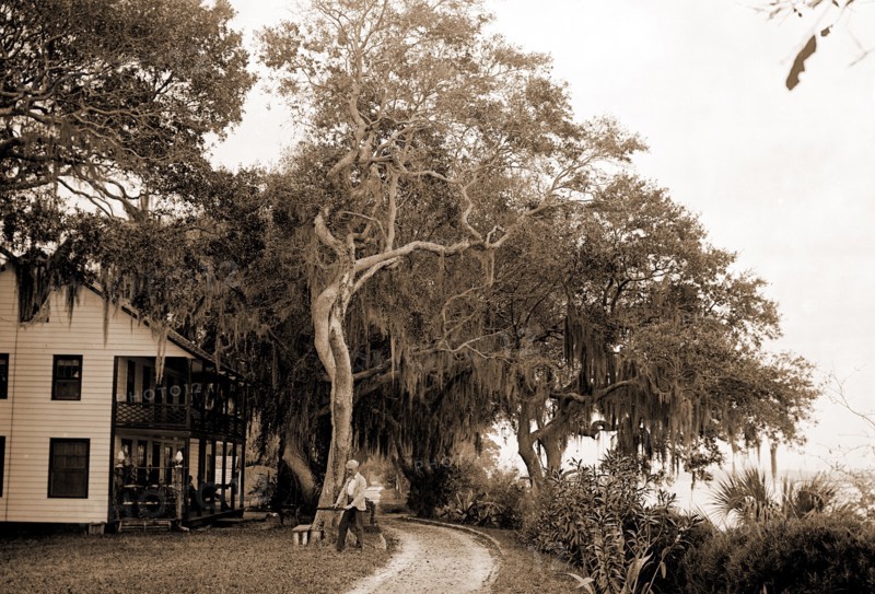Bostrom's, near Ormond, Jackson, William Henry, 1843-1942, Bostrom's (Ormond Beach, Fla.), Buildings, United States, Florida, Ormond Beach, 1880