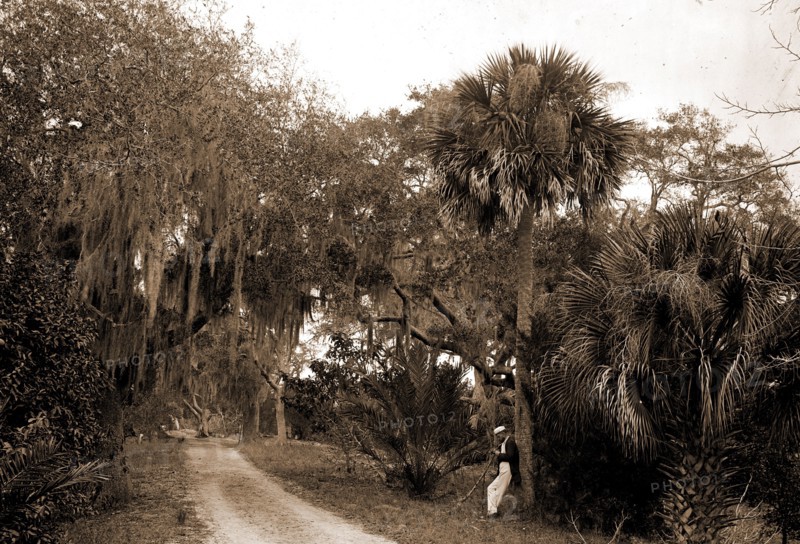 Near Bostrom's, Ormond, Jackson, William Henry, 1843-1942, Bostrom's (Ormond Beach, Fla.), Roads, United States, Florida, Ormond Beach, 1880