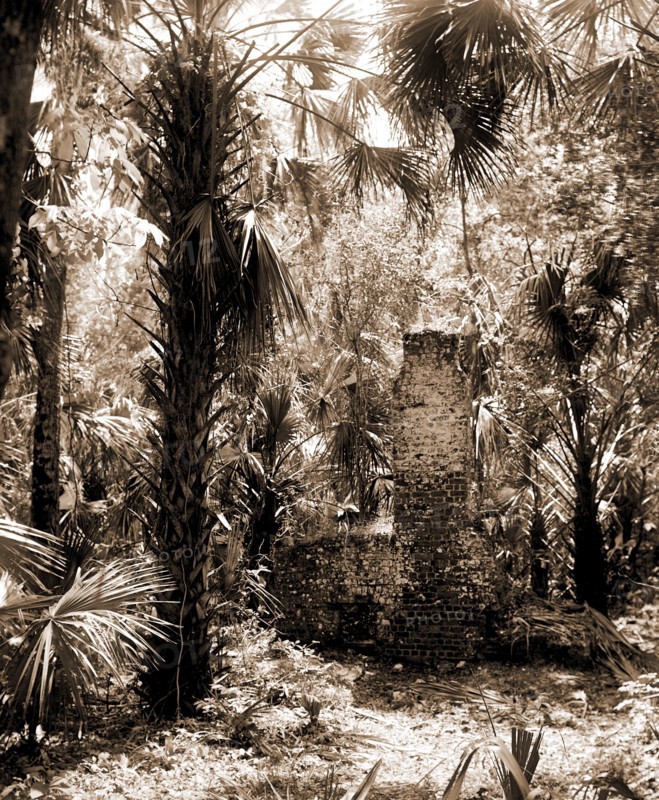 Chimneys, Ormond hammock, The, Jackson, William Henry, 1843-1942, Chimneys, Palms, Ruins, United States, Florida, Ormond Beach, 1880