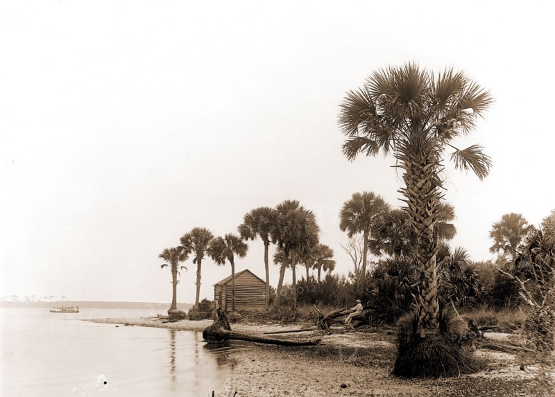 Ross Point on the Halifax, Fla, Jackson, William Henry, 1843-1942, Capes (Coasts), Rivers, United States, Florida, Halifax River, 1880