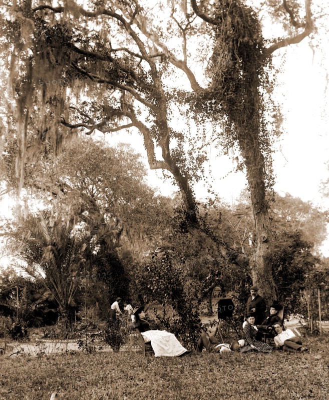 Garden near Daytona, A, Jackson, William Henry, 1843-1942, Gardens, United States, Florida, Daytona Beach, 1880